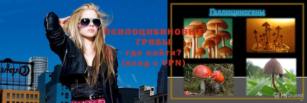 шишки Никольское